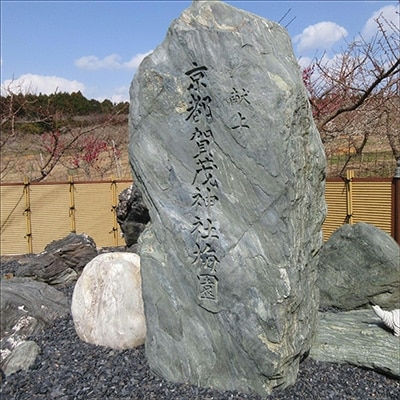 贈答用 木箱入り梅干し うすしお味10粒はちみつ味10粒