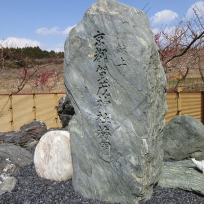 贈答用　木箱入 紀州薬師梅　『海』昆布と鰹の海の味　450g