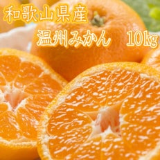 和歌山県産　温州みかん　10kg