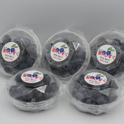 冷蔵ブルーベリー　500g