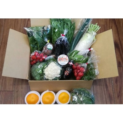 季節の野菜・果物・特産品お楽しみ詰め合わせセット2