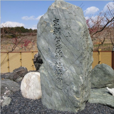薬師梅　紀州南高梅　うすしお梅　640g