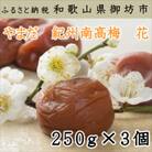 やまだ 南高梅　花(塩分約6%)(250g×3個)