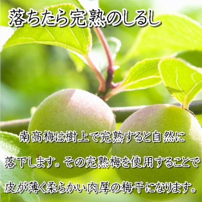 紀州南高梅　優梅　1kg