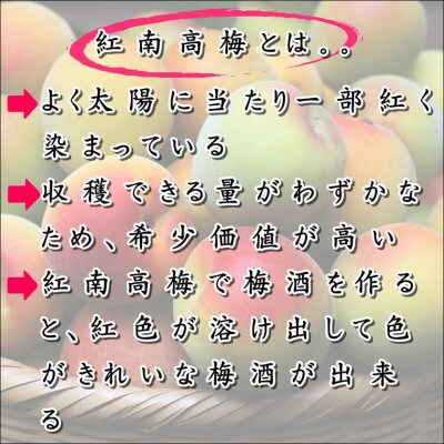 紀州梅酒　紅南高(720ml)