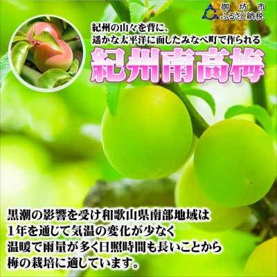 みかんこい梅　100g×5個