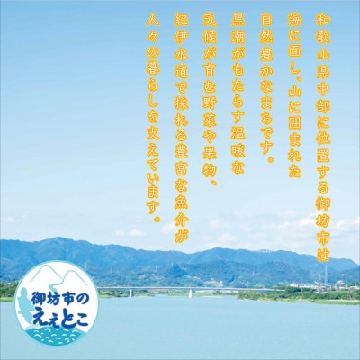 みかんこい梅　100g×5個