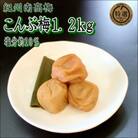 【家庭用】紀州南高梅　こんぶ梅　1.2kg