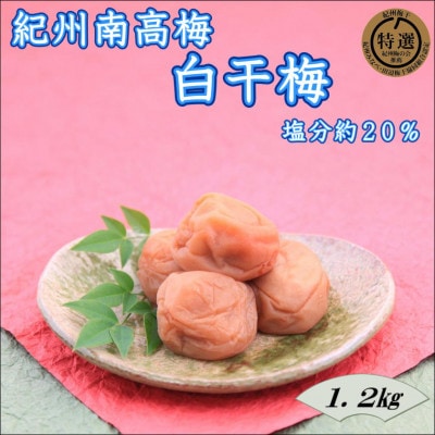【家庭用】紀州南高梅　白干梅　1.2kg