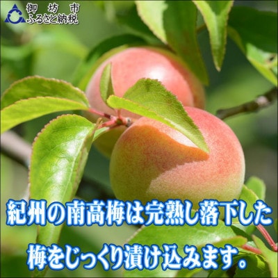 【家庭用】紀州南高梅　白干梅　1.2kg