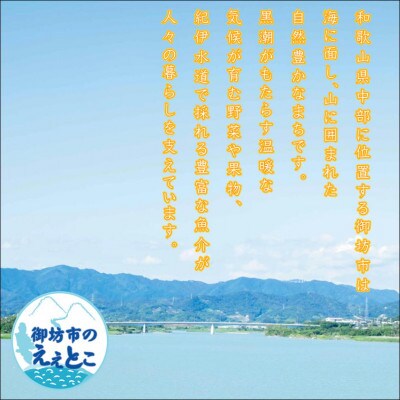 【家庭用】紀州南高梅　かつお梅　1.2kg