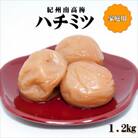 紀州南高梅　はちみつ梅　1.2kg　家庭用(B級、C級)