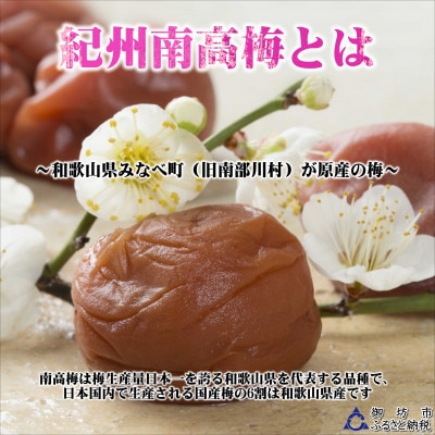 紀州南高梅 しそ漬梅干し 1kg 特選A級