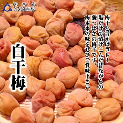 紀州南高梅　白干梅　1.2kg　家庭用(B級、C級)