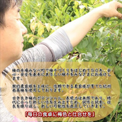 紀州綜合食品の紀州南高梅　小粒かつお味　1.2kg