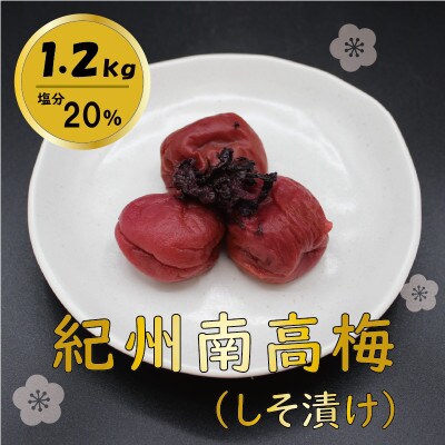 紀州綜合食品の紀州南高梅しそ漬1.2kg　中粒