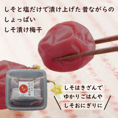 紀州綜合食品の紀州南高梅しそ漬1.2kg　中粒