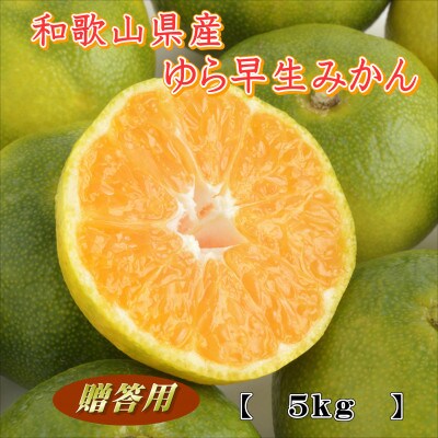 ゆら早生　5kg　贈答用