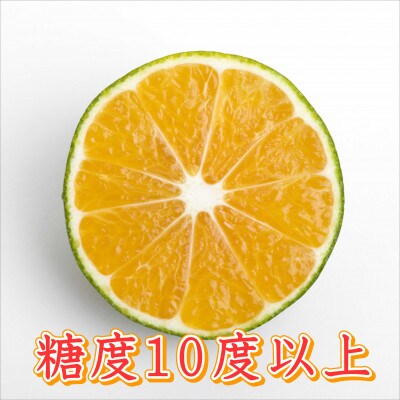 ゆら早生　5kg　贈答用