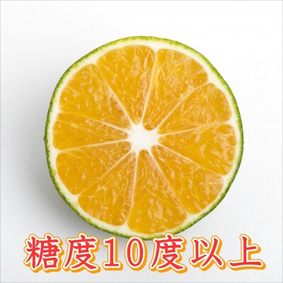 ゆら早生　10kg　贈答用