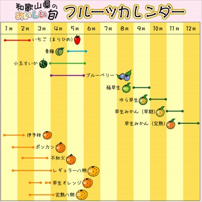 ゆら早生　10kg　贈答用