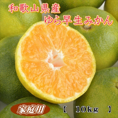 ゆら早生　10kg　家庭用