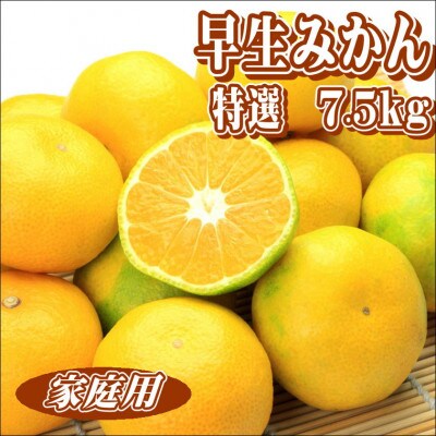 早生みかん 7.5kg 家庭用　