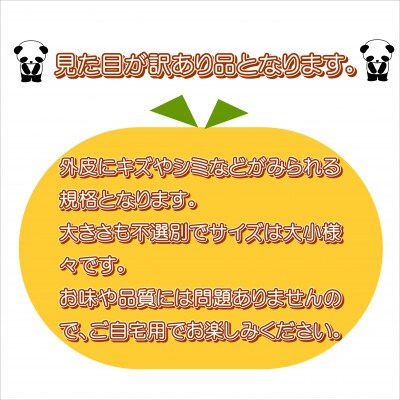 早生みかん　あじ姫　5kg　家庭用　