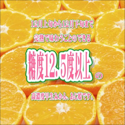 早生みかん　あじ姫　5kg　家庭用　