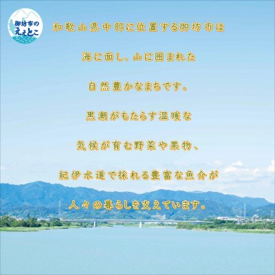 野尻丸大豆醤油・やまだ白味噌セット