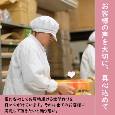 ふみこ農園　わかやまスムージー6本セット