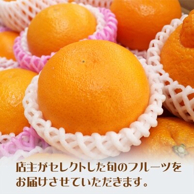 南国紀州・日高の太陽が育んだ季節のフルーツセットA冷蔵