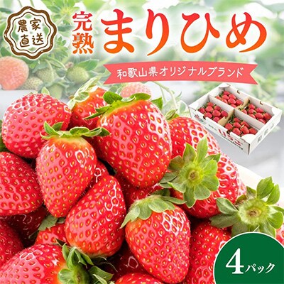 農家直送 完熟まりひめ(和歌山県オリジナルブランドいちご)4P(2024年12月より順次発送)