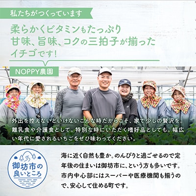 農家直送 完熟まりひめ(和歌山県オリジナルブランドいちご)4P(2026年3月より順次発送)