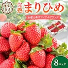 農家直送 完熟まりひめ(和歌山県オリジナルブランドいちご)8P(2026年3月下旬より順次発送)