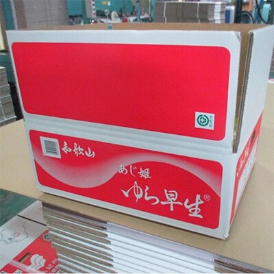 御坊市・日高川町産 ゆら早生みかん5kg