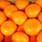 御坊市・日高川町・由良町産 温州みかん(ゆらっ子)5kg