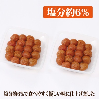 【和歌山県/紀州南高梅】紀州南高梅　うす塩味1kg(500g×2パック)、塩分約6%