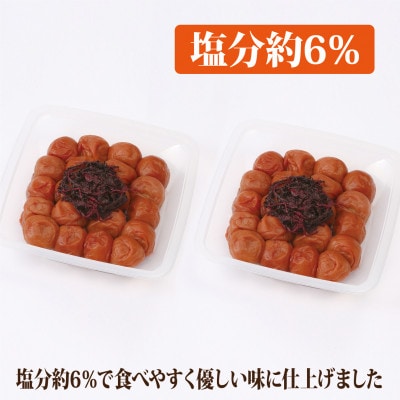 【和歌山県/紀州南高梅】紀州南高梅　しそ風味1kg(500g×2パック)、塩分約6%