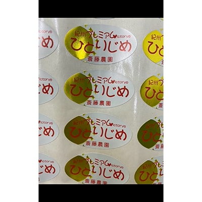 紀州プレミアムひとりじめ(小玉スイカ)2玉(計3.5kg程度)≪先行受付分≫