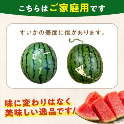 紀州ひとりじめ(小玉スイカ) 2玉(M～Lサイズ)3kg程度 ≪家庭用≫