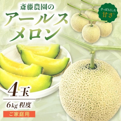 アールスメロン(マスクメロン) 4玉 6kg程度≪家庭用≫