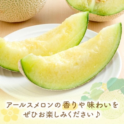 アールスメロン(マスクメロン) 4玉 6kg程度≪家庭用≫