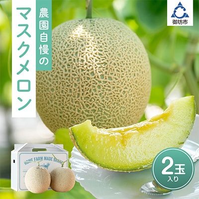 農園自慢の『マスクメロン』×2玉