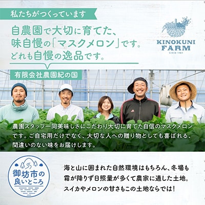 農園自慢の『マスクメロン』×2玉