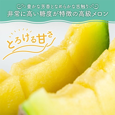 農園自慢の『マスクメロン』大玉×2玉
