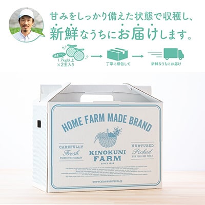 農園自慢の『マスクメロン』大玉×2玉