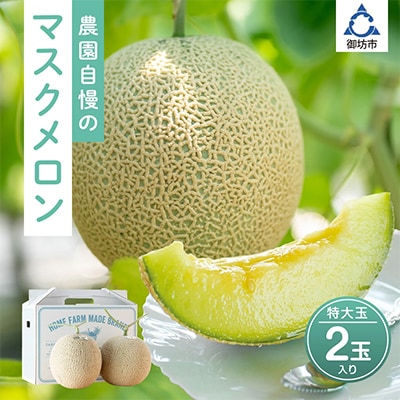 農園自慢の『マスクメロン』特大玉×2玉
