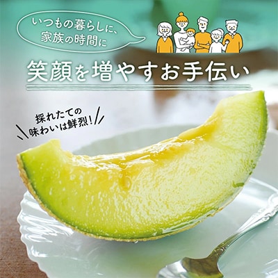 農園自慢の『マスクメロン』特大玉×2玉