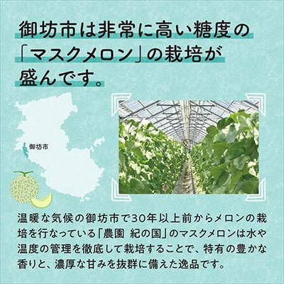 農園自慢の『マスクメロン』特大玉×2玉